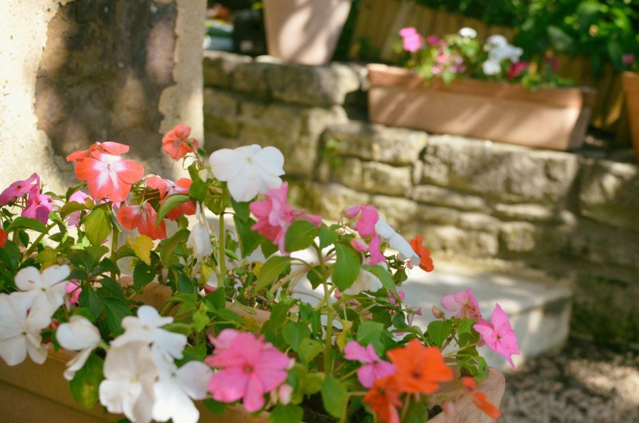 Bed & Breakfast Le Mas De Roussillon *