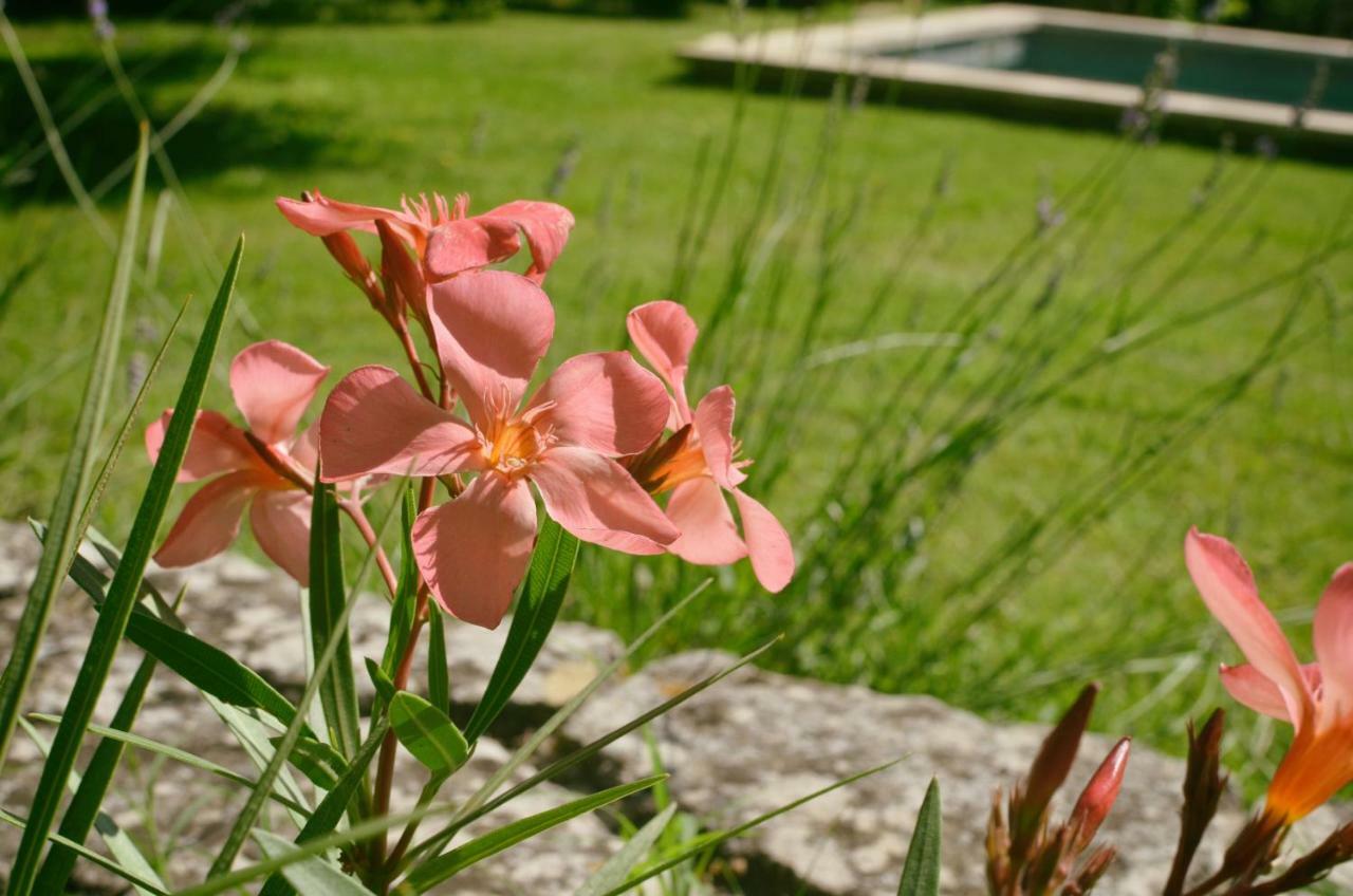 Le Mas De Roussillon Bed & Breakfast *